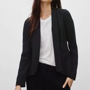 Aritizia Babaton Dominick Blazer